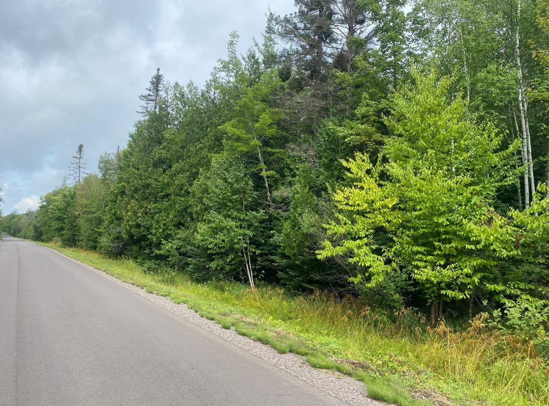On MAPLE RIDGE RD, Park Falls, WI 54552 Land for Sale