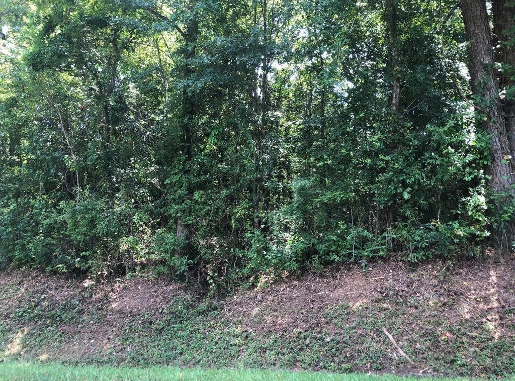0 State St. lot 40, Laurel, MS 39440 Land for Sale
