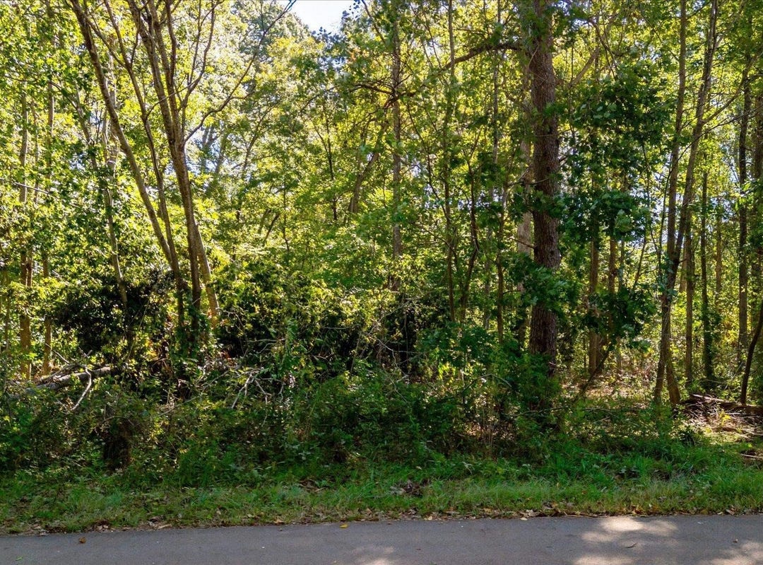 00 Aragon Street, Piedmont, SC 29673 Land for Sale