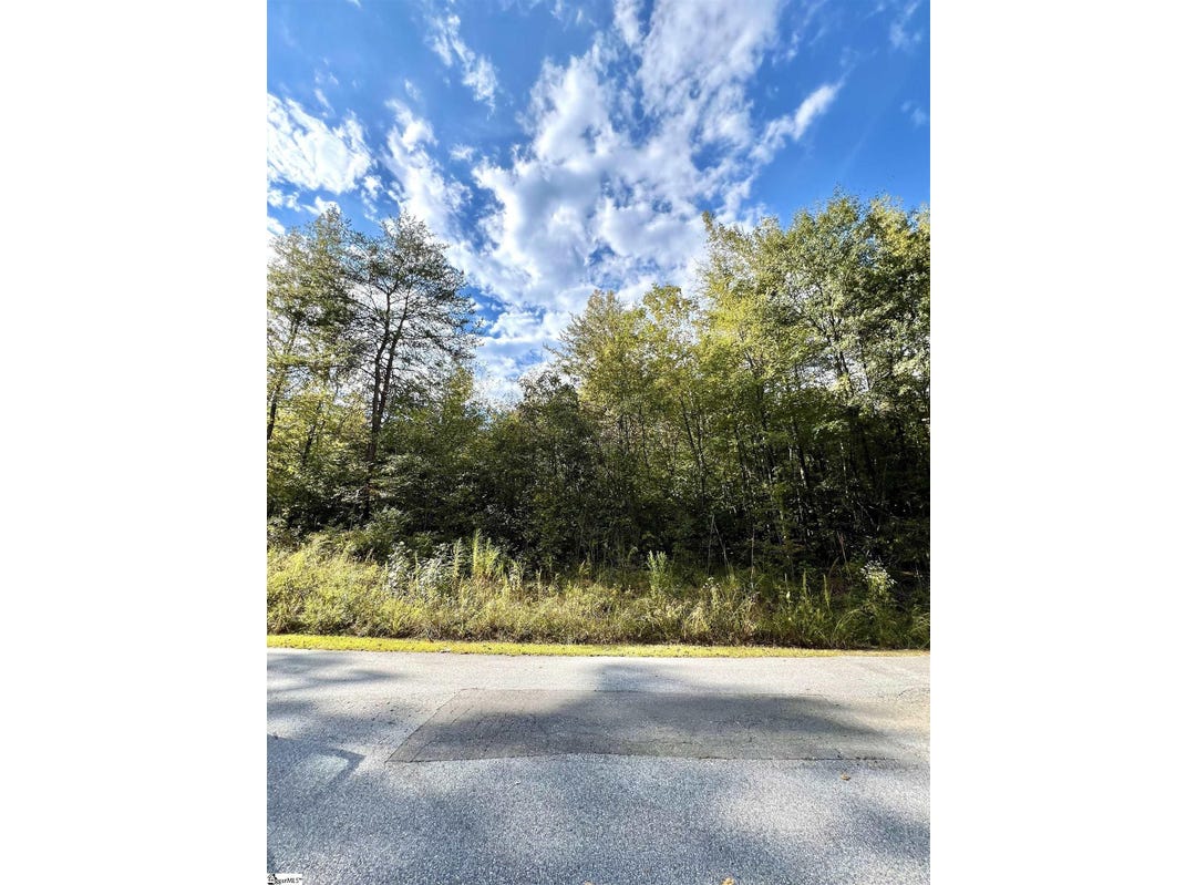 Camellia Street, Westminster, SC 29693 Land for Sale