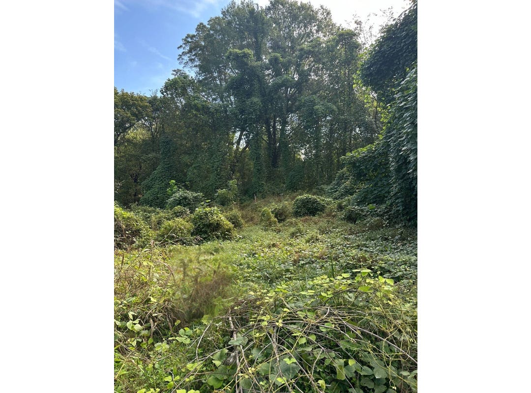 1 McCampbell St, Paris, TN 38242 Land for Sale