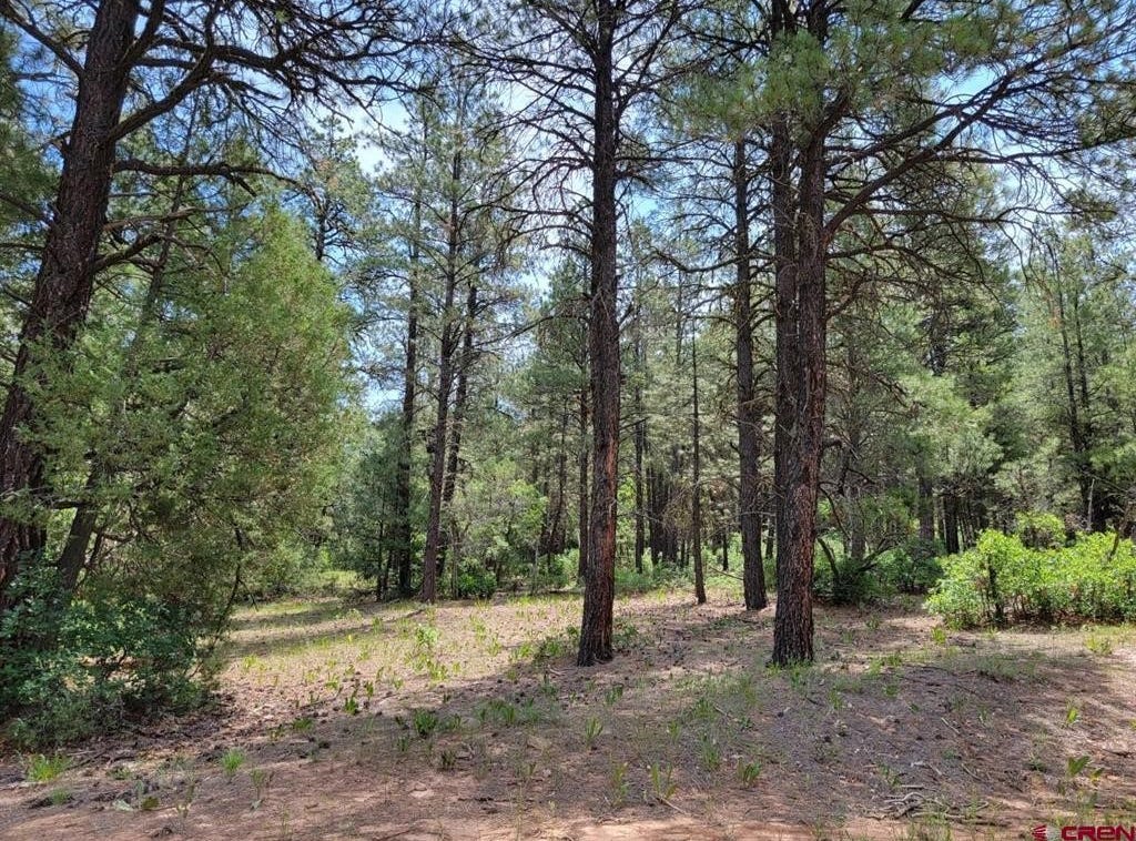 Echo Lake Access Easement, Pagosa Springs, CO 81147 Land for Sale ...