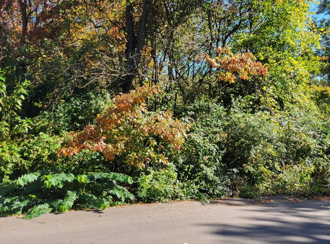 0100 Daniel Street, Kalamazoo, MI 49048 Land for Sale