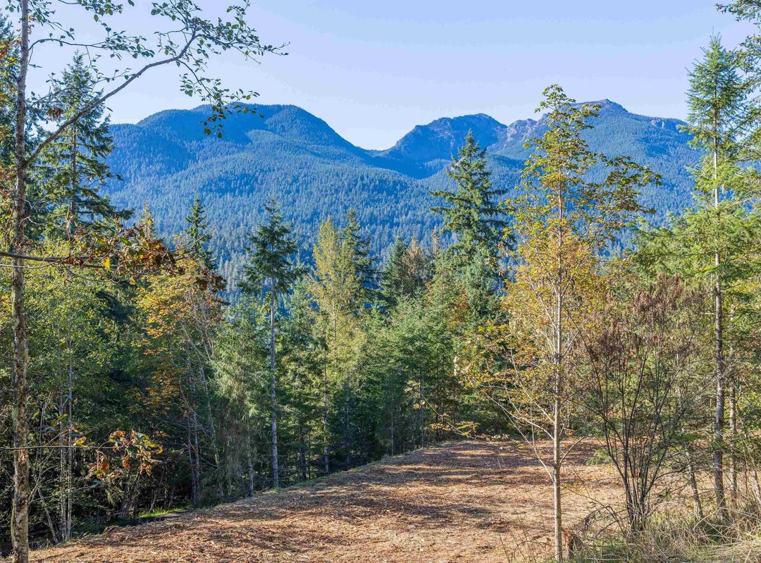 NKA Mt Pleasant Road, Port Angeles, WA 98362 Land for Sale realestate