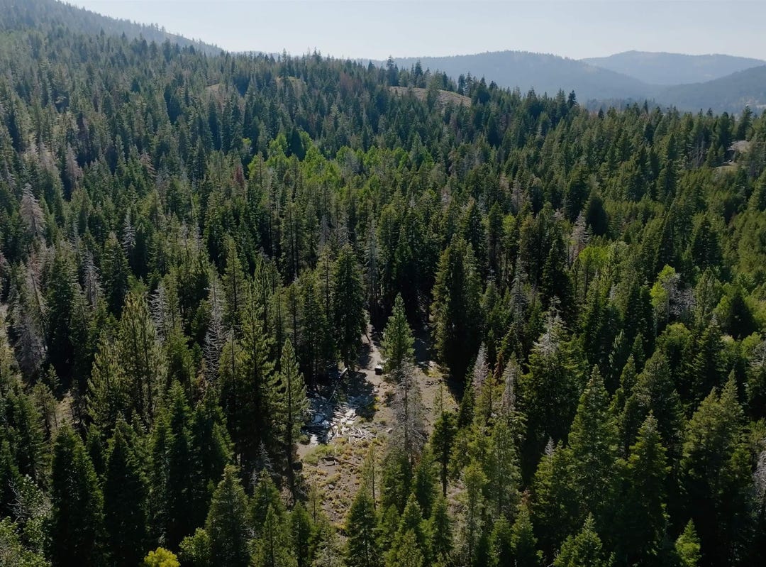 0000 Henness Pass Road, Sierraville, CA 96126 Land for Sale