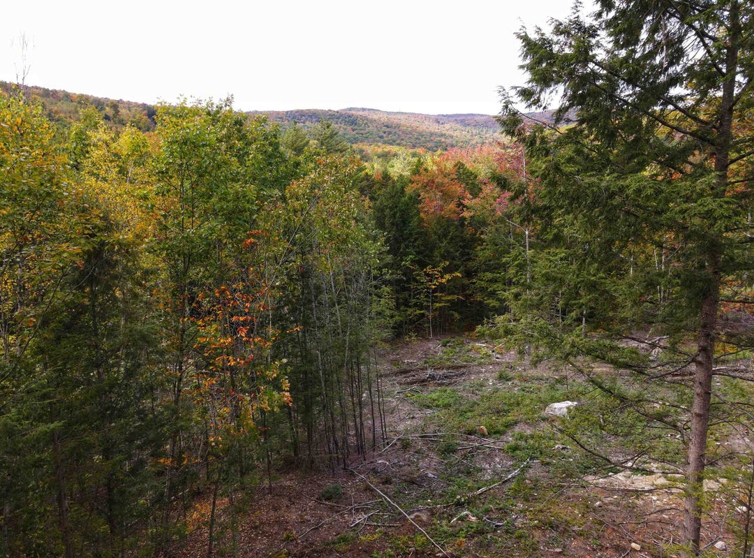 12121012 Jacob Hall Farm Road, Apt 4, Rumney, NH 03266 Land for Sale