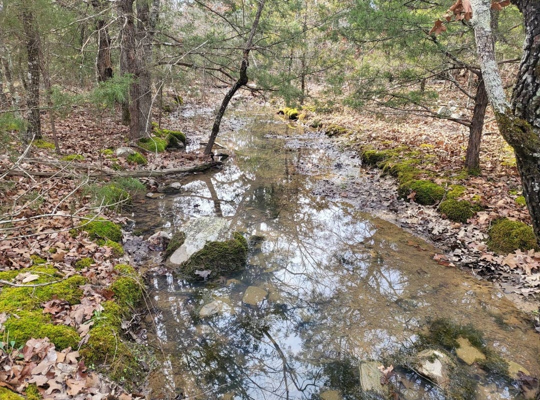 0000 N 4478Rd, Talihina, OK 74571 Land for Sale