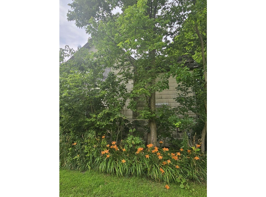 4244 Hillandale Road, Sodus, MI 49126 House for Sale