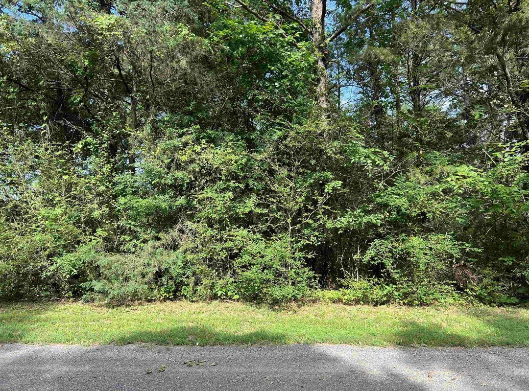 XXX PIRATE, Hot Springs, AR 71913 House for Sale