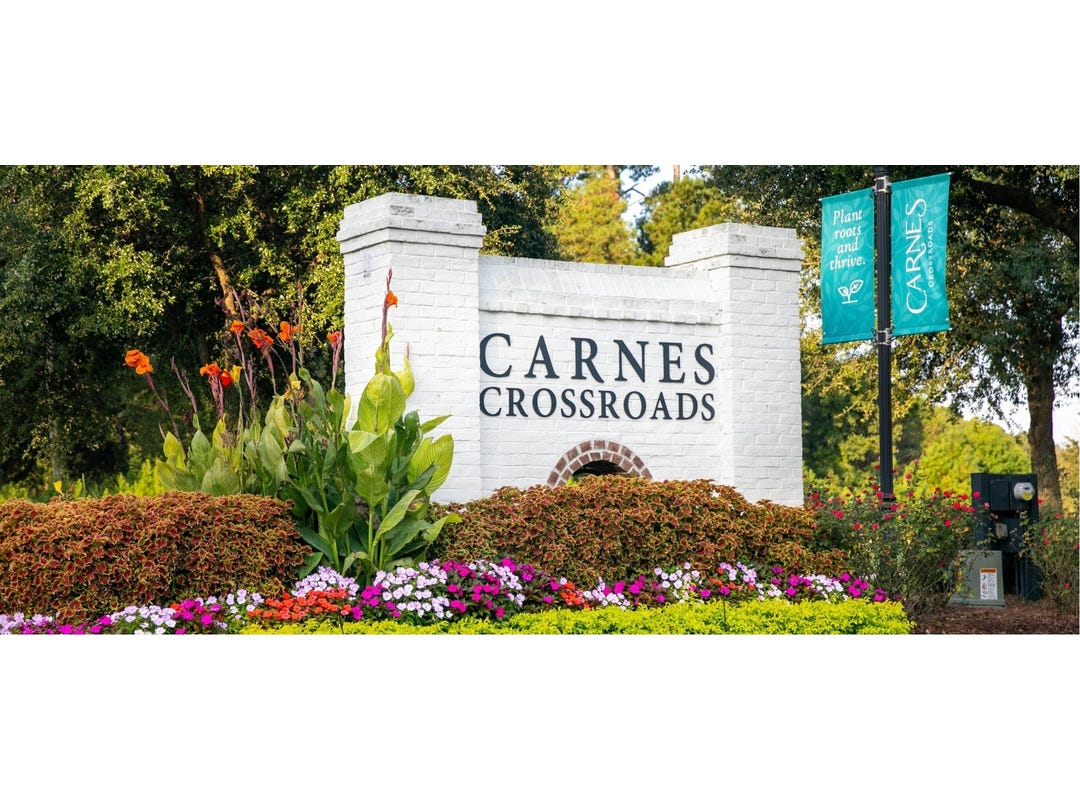 309 CITRUS DRIVE, Summerville, SC 29486 House for Sale