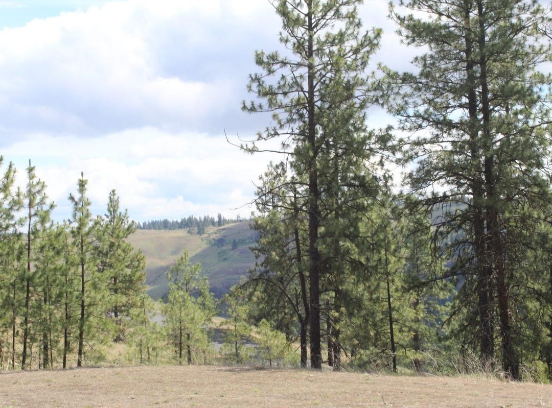 Badger 2 Sontag Ridge Ln, Davenport, WA 99122 Land for Sale