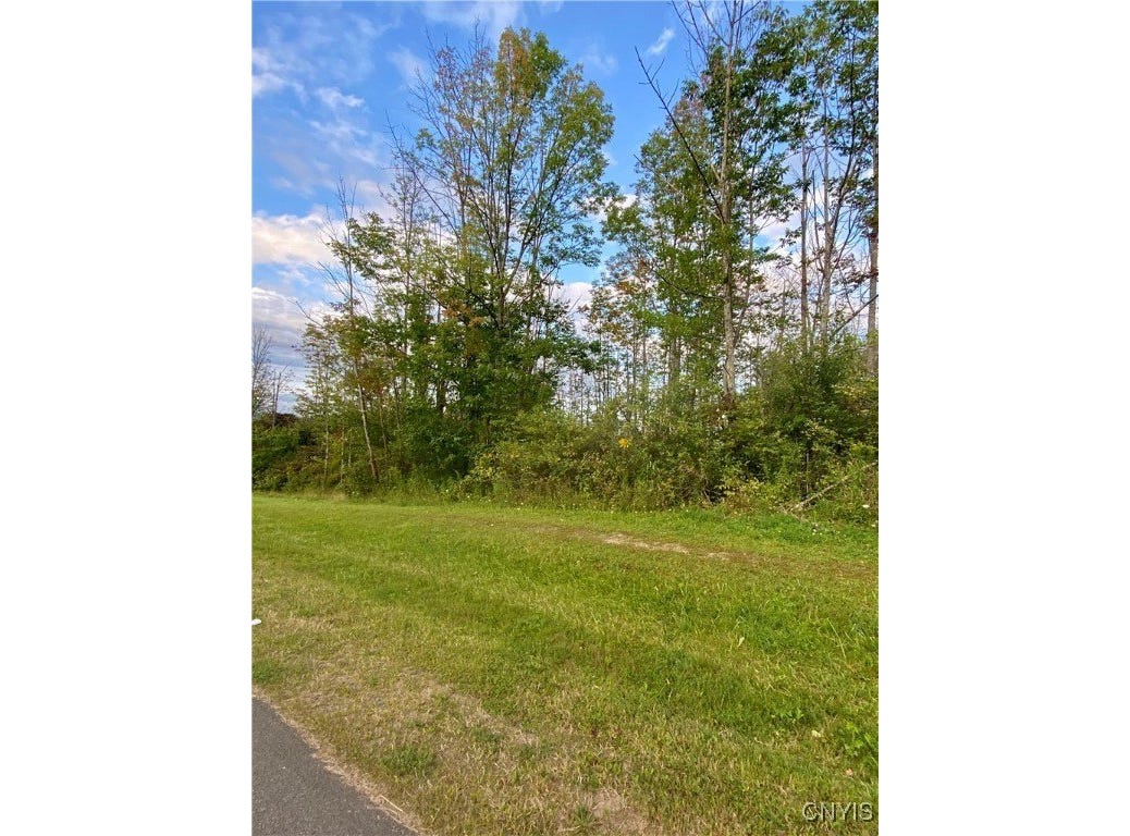 00 Trenton Road, Deerfield, NY 13502 Land for Sale