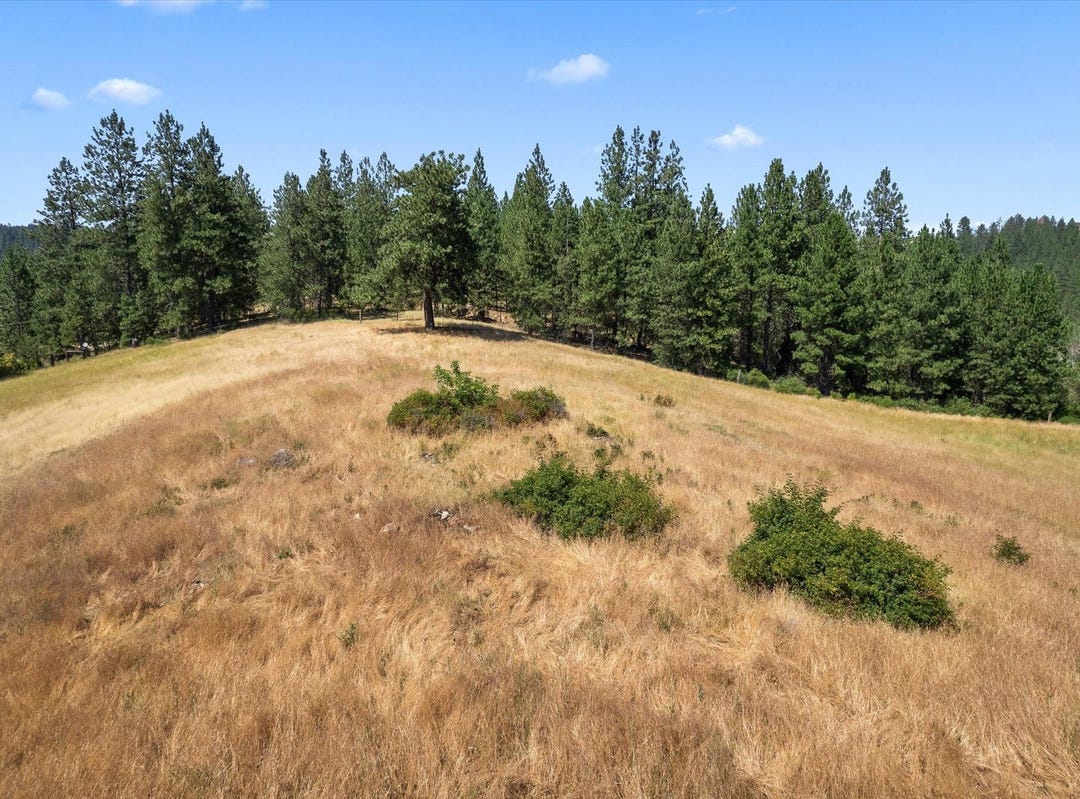 5724 S Saltese Lake Rd, Greenacres, WA 99016 Land for Sale realestate
