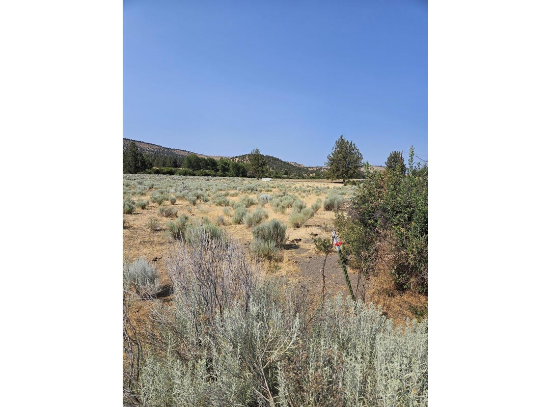 209 Tenino Road, Warm Springs, OR 97761 Land for Sale