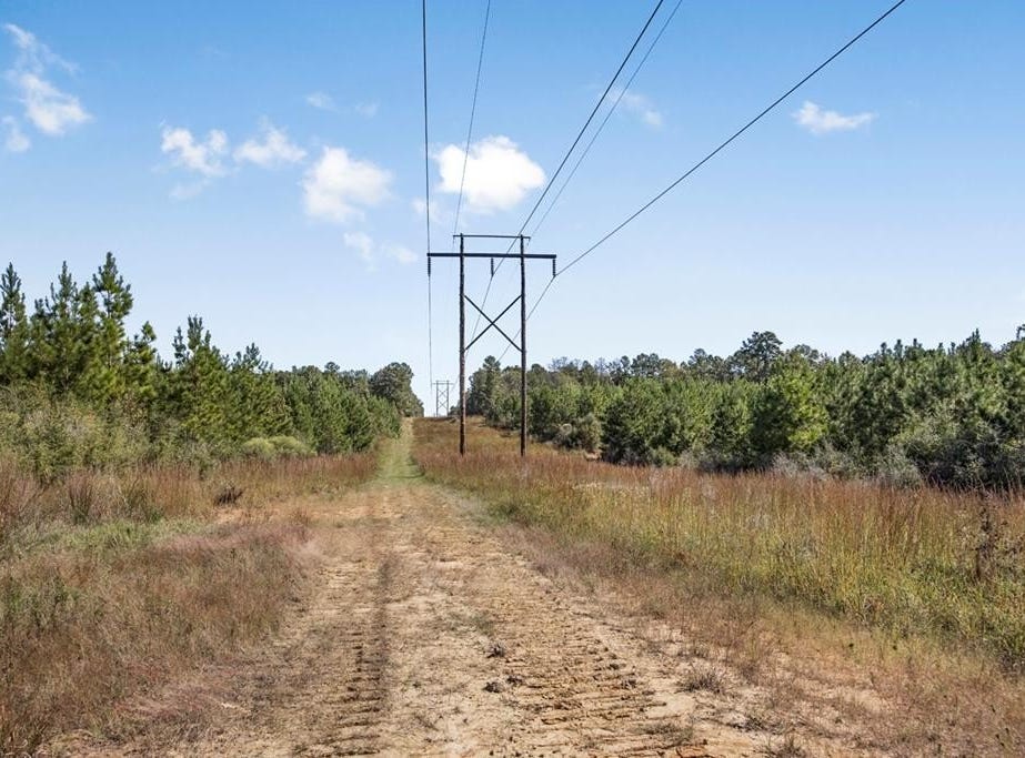 3183 Applewhite Road, Mccall Creek, MS 39647 Land for Sale realestate