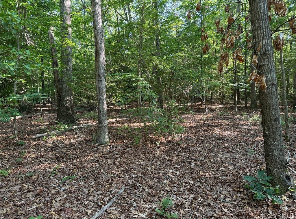 733 W Chinquapin Road, King William, VA 23086 Land for Sale