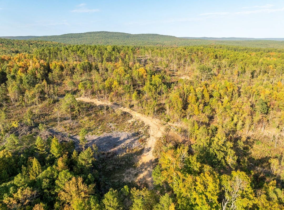 1 Tackett Mountain Road, Jerusalem, AR 72030 Land for Sale realestate