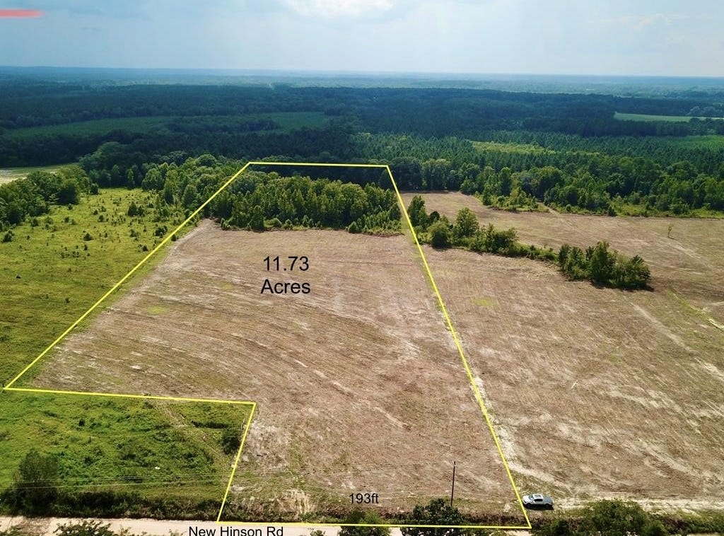 11.73 Acres L5 New Hinson Rd, AL 36375 Land for Sale