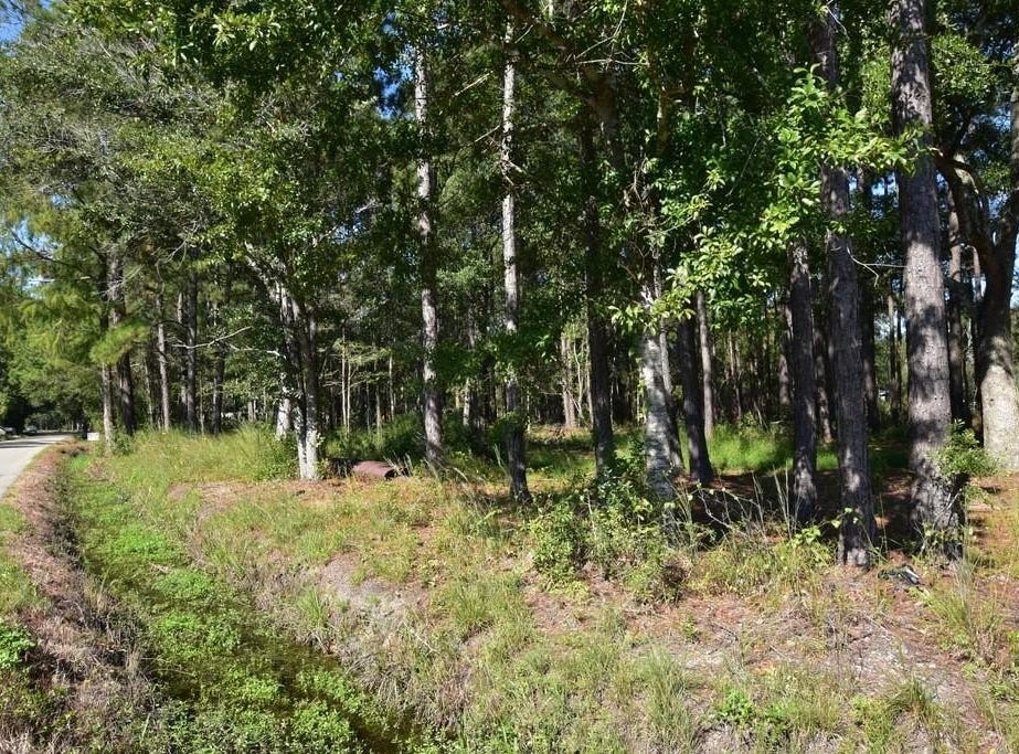 66299 CHRIS KENNEDY Road, Pearl River, LA 70452 Land for Sale