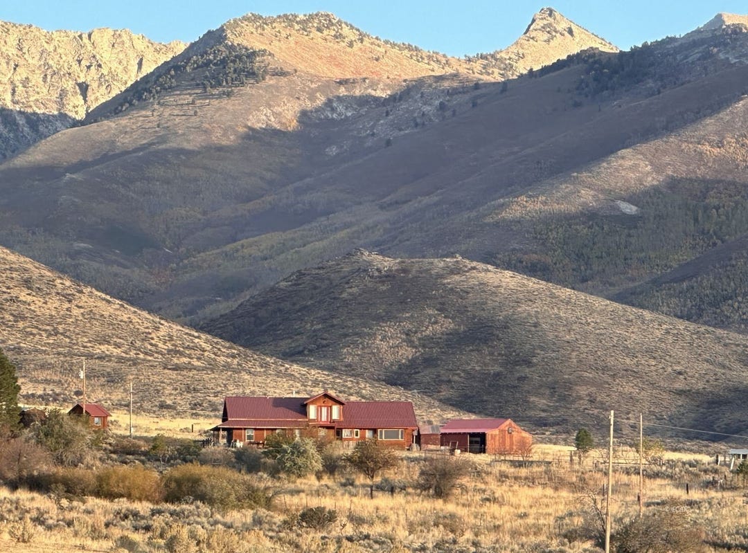 7340 Smith Creek Road, Jiggs, NV 89815 House for Sale