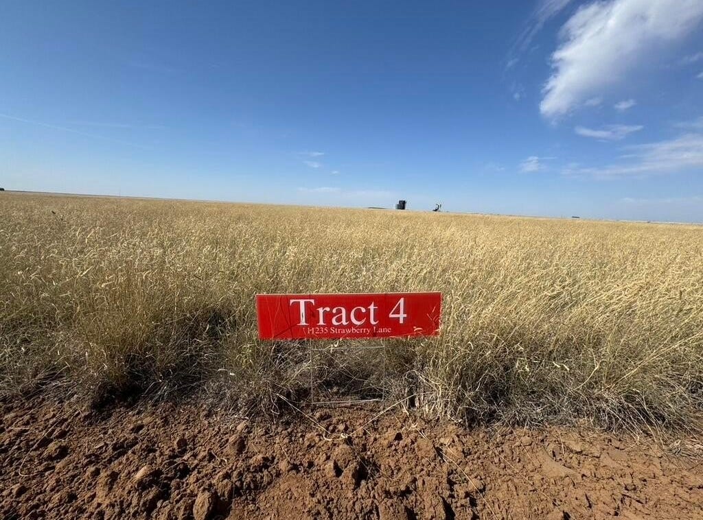 11235 Strawberry Lane, Hartley, TX 79044 Other for Sale