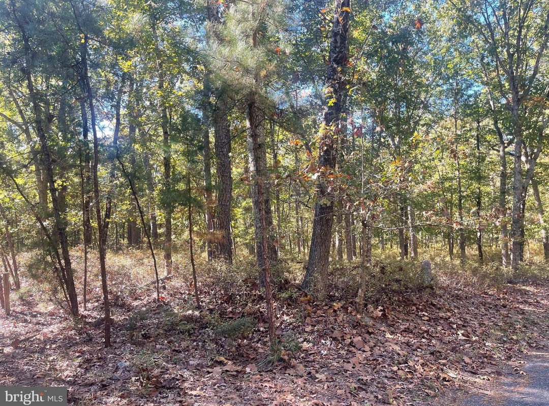 0 4TH AVENUE, MAYS LANDING, NJ 08330 Land for Sale