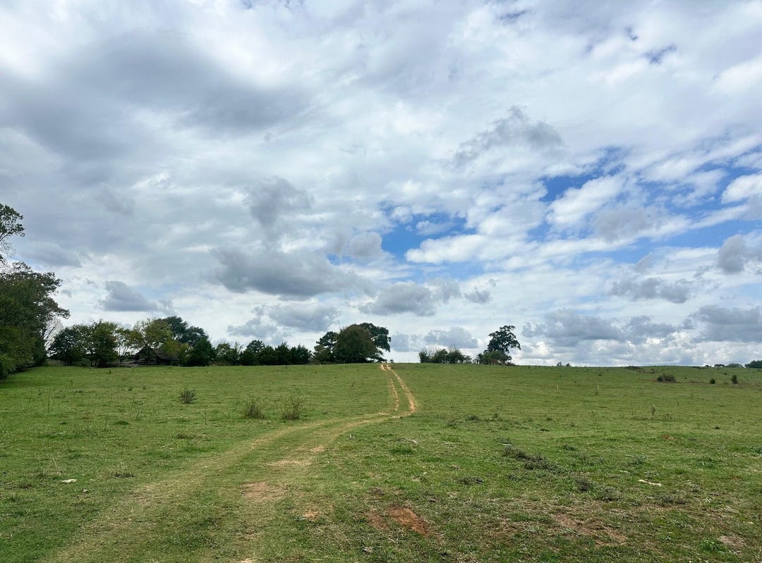 Tract 6 Copeland Road, Ocoee, TN 37361 Land for Sale