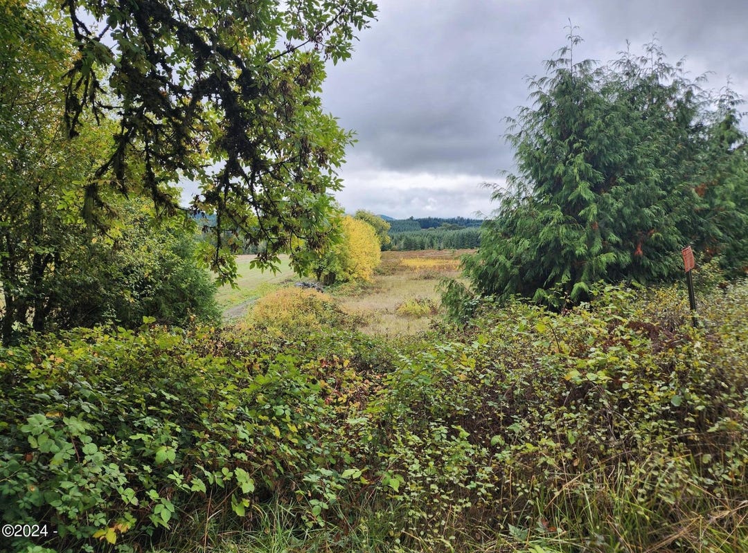 19326 Alsea, Alsea, OR 97324 Land for Sale