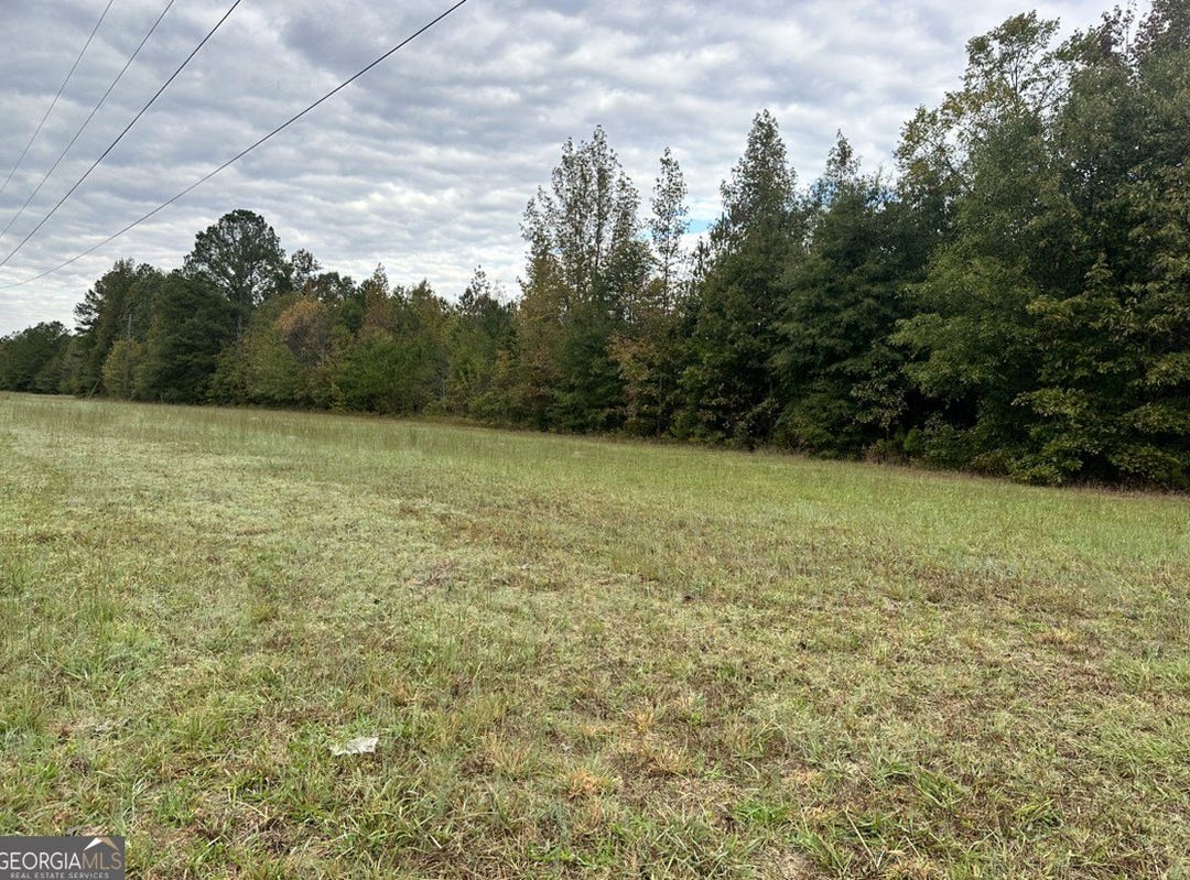 1970 Buttermilk, Cave Spring, GA 30124 Land for Sale