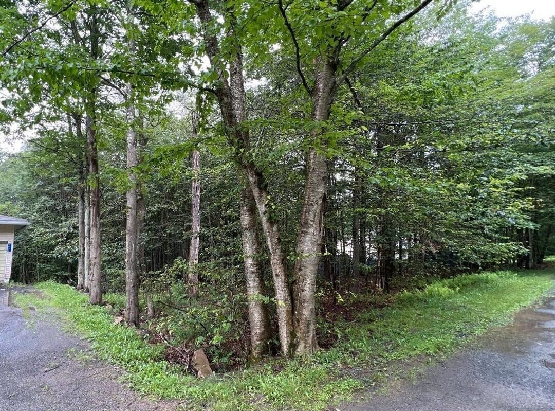 LINCOLN Place, Tobyhanna, PA 18466 Land for Sale