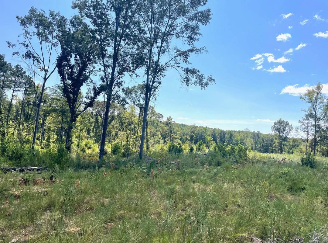 1072 Misterton Road, Gore Springs, MS 38929 Land for Sale