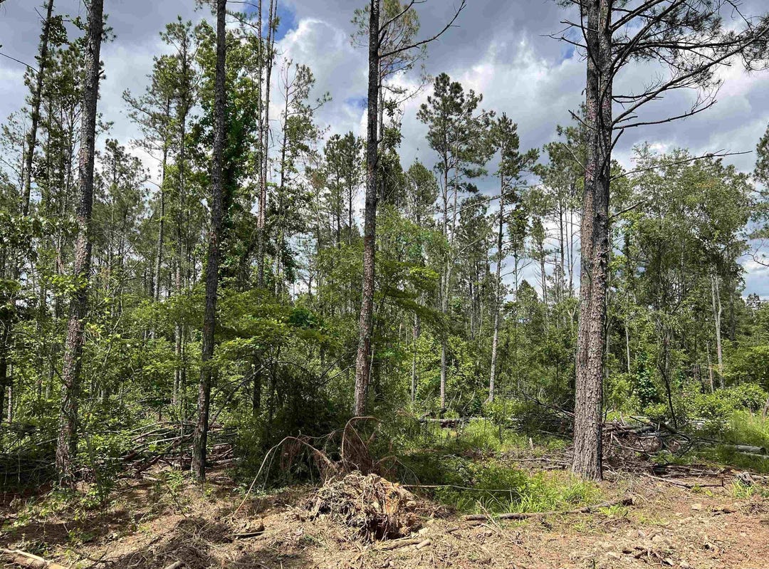 tract4 hwy 346, Amity, AR 71921 Land for Sale