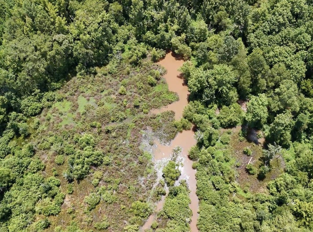 0 Jordan, Apt 110 ACRES, Waverly Hall, GA 31831 Land for Sale