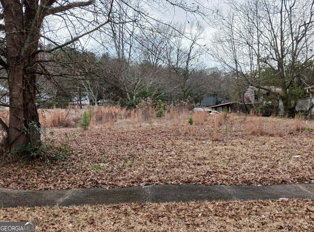 109 4th Street, Manchester, GA 31816 Land for Sale