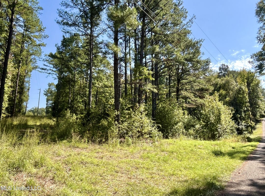 0 Young Lane, Crystal Springs, MS 39059 Land for Sale