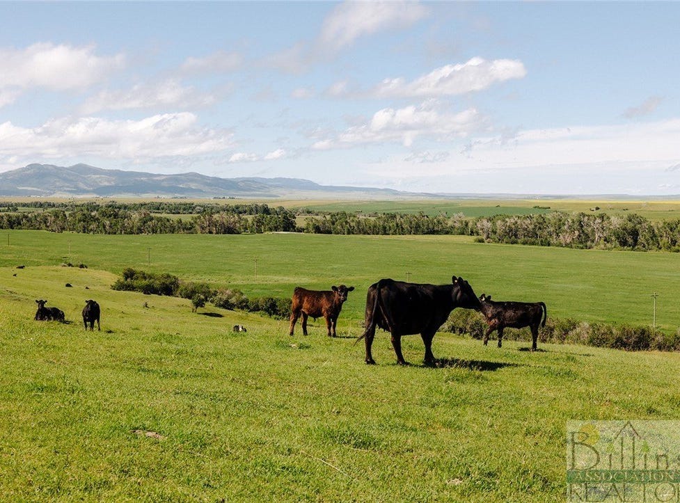 6058 Cottonwood Creek, Lewistown, MT 59457 Rural for Sale realestate