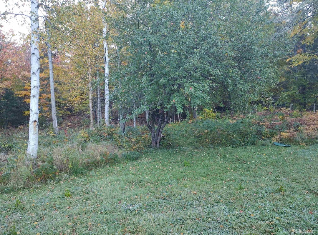 25483 Nelson, Michigamme, MI 49861 Land for Sale