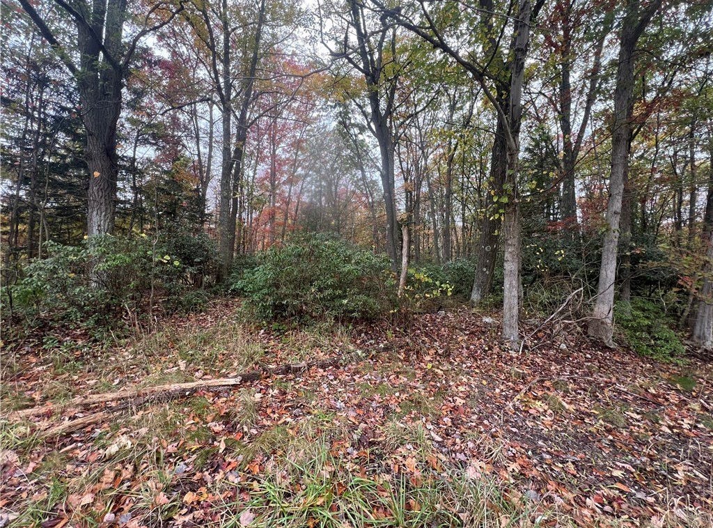 2168 Dinner Bell Five Forks Rd, Wharton Twp, PA 15437 House for Sale