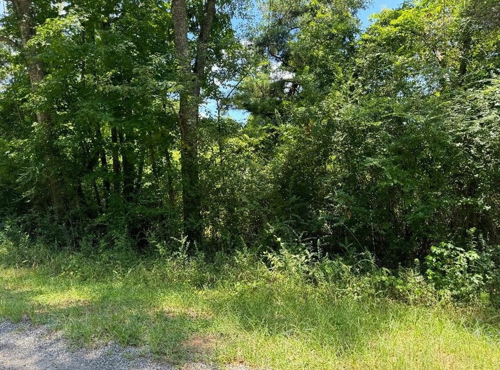 00 NED DILLARD, Sandersville, MS 39439 Land for Sale