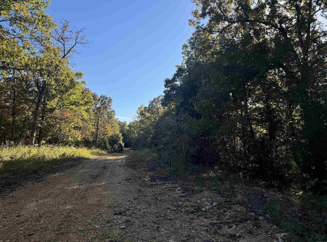 Lot 61 Red Fox Road, Hardy, AR 72542 Land for Sale