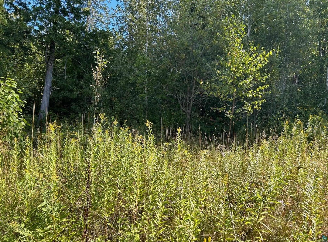 XXXXX N Tierra Rd North, Apt Plat of Tierra Shores Lot 11, Cornucopia