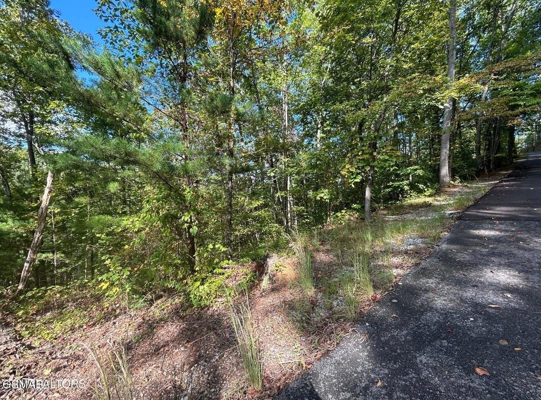 Lot 9 Wildcat Ridge Road, Sevierville, TN 37862 Land for Sale