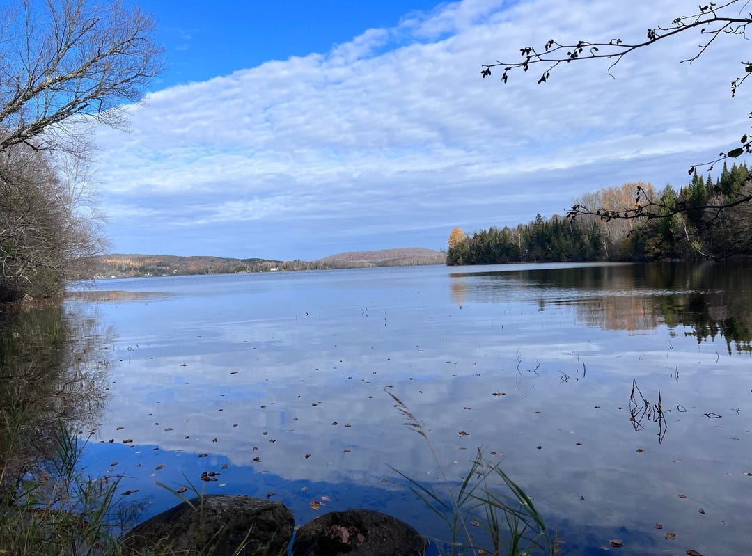 Ch. des Boisée, LacdesÉcorces, QC J0W1H0, CA, LacdesÉcorces, Québec