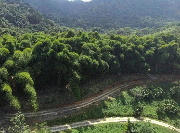 Minca, Magdalena, Magdalena Land for Sale