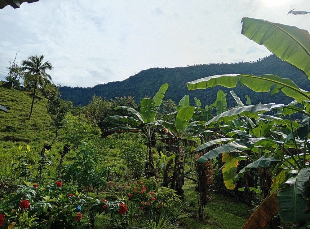 Pérez Zeledón, San José, Address available on request House for Sale