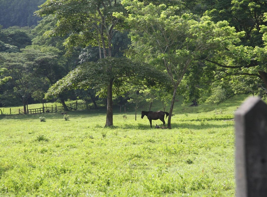 Lepanto, Lepanto, Puntarenas Land for Sale