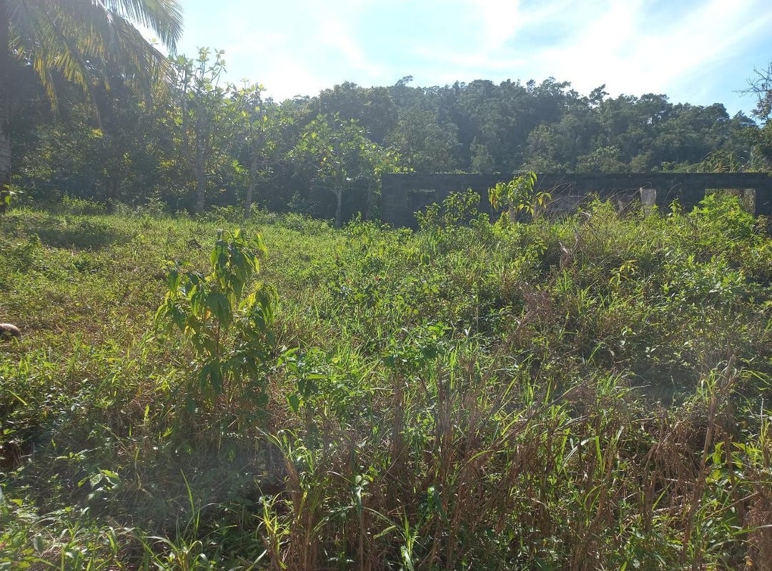 Bamboo, St. Ann Parish, Address available on request House for Sale