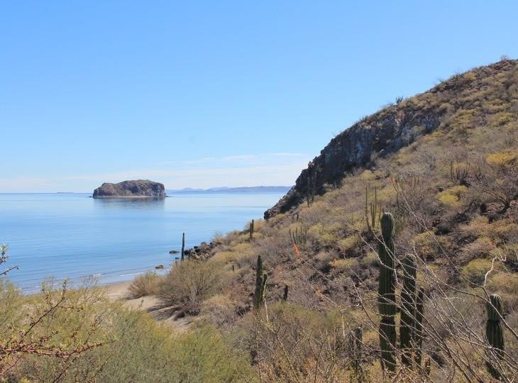 Ensenada Blanca, Ensenada Blanca, Baja California Sur Land for Sale