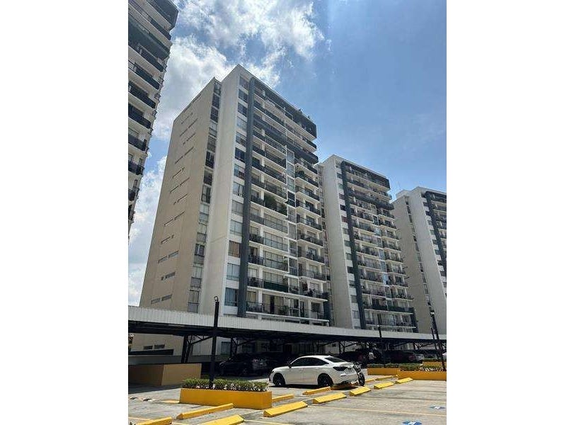 Panama Tumba Muerto, Panama City, Address available on request