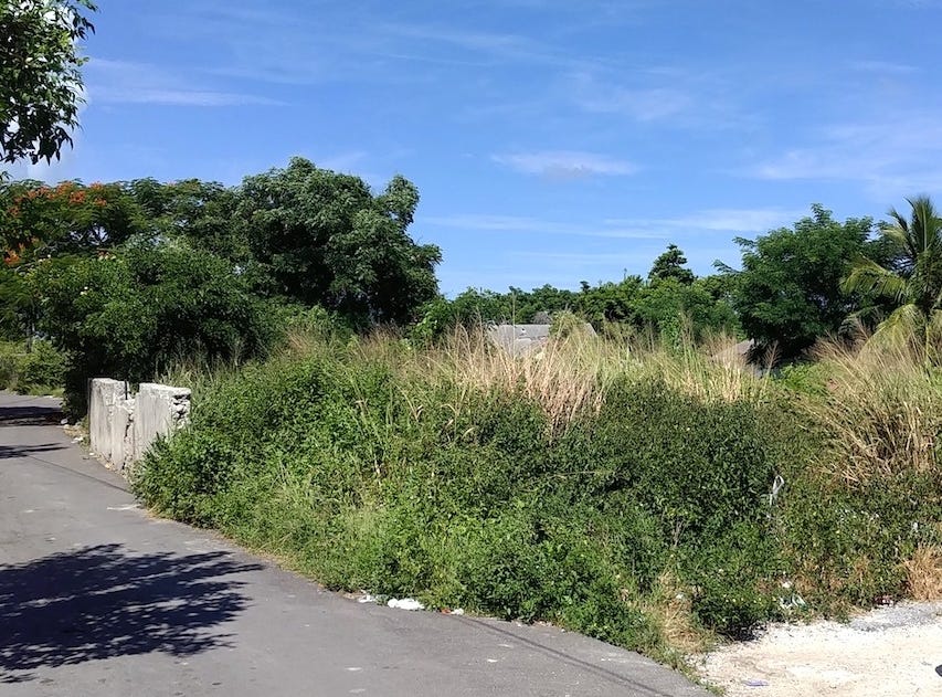 Lyon Road, Shirley Street, New Providence Land/Development for Sale